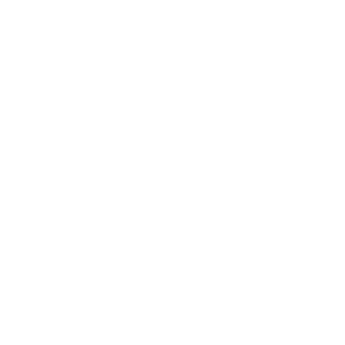 HATON SERVICES CONSULTING